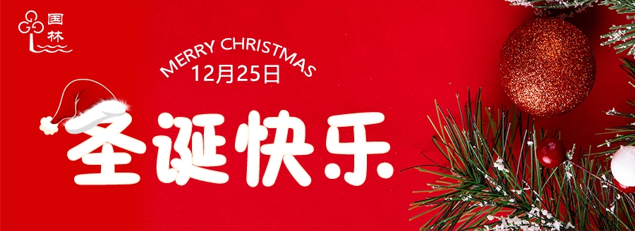 圣誕節(jié)收不到禮物不如和國(guó)林開(kāi)水器一起飲一杯健康水