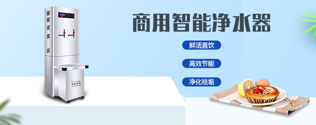 春節(jié)假期期間，如何維護和保養(yǎng)直飲水設備